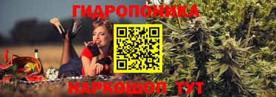 прущие грибы Тверь