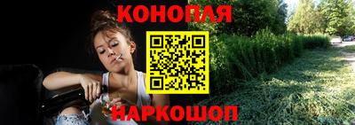 прущие грибы Тверь