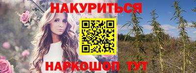 прущие грибы Тверь