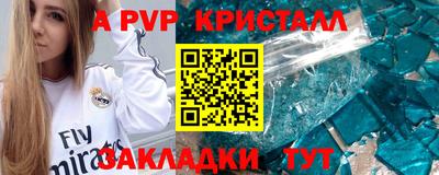 прущие грибы Тверь