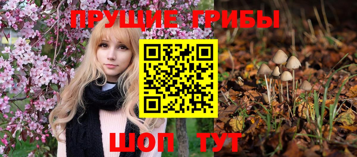 Галлюциногенные грибы Psilocybe Мурино