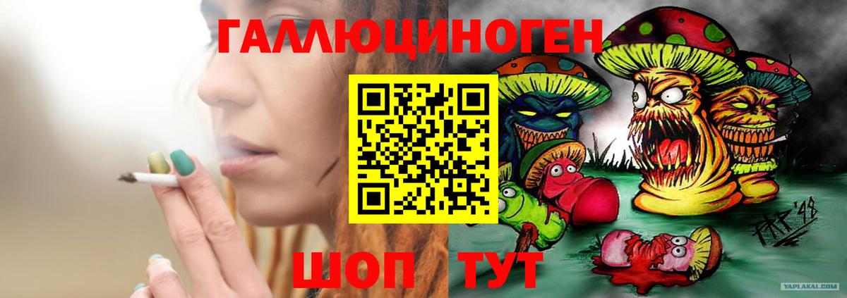 Мурино  Псилоцибиновые грибы Psilocybe  Вход с VPN  Псилоцибиновые грибы Psilocybe 